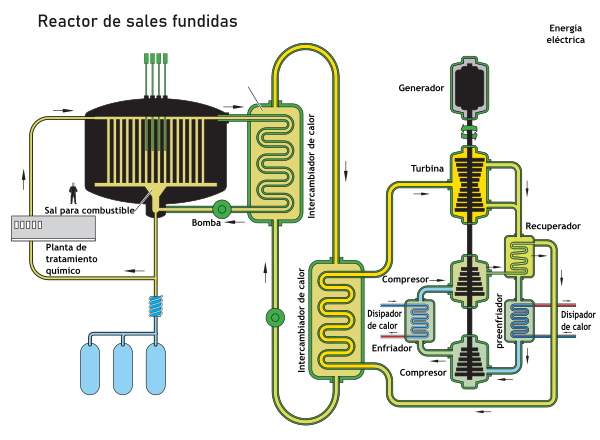Molten Salt Reactor es